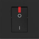 32A - 250Vac 2P switch (item sold in box packaging) (BT-RG4011P)