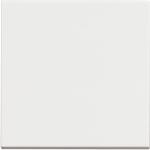 Push buttons 1P (NO) 10 A - 250 Vac (RW4005M2)