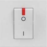 32 أمبير - مفتاح 250 فولت تيار متردد 2P (يتم بيع المنتج في عبوة صندوقية) (BT-RW4011P)