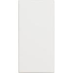 Blank plate - 1 module (BT-RW4950)