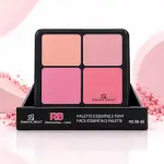 Romantic Bright Face Essentials Palette RB-88