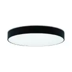 LED Surface Mounted Black Globe Light 48W 4000K 60x4cm