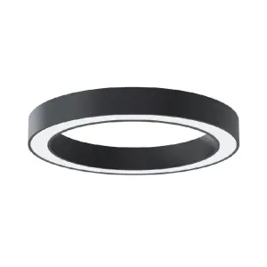 LED Surface Mounted Black Donut Globe Light 48W 4000K 60x4cm