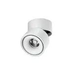 LED Adjustable Surface Mounted Round Lighting Cylinder 12W 4000K White Aluminum MD-Z2