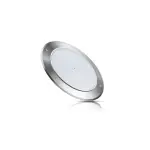 LED Stainless Steel Swimming Pool Spotlight 20W 3000K 20cm IP68
