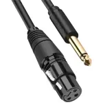 UGREEN 6.5mm إلى Cannon أنثى AV كابل 2m (أسود)